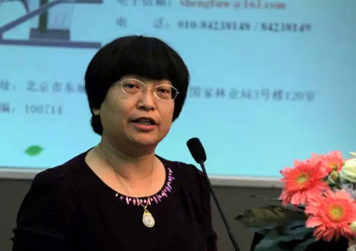 世界自然基金會WWF中國執行總監李琳博士發言.jpg